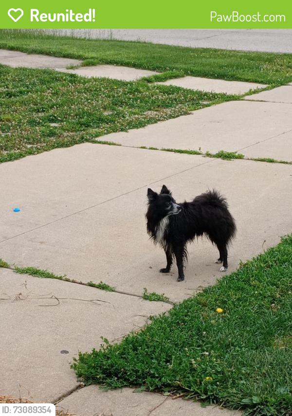 Reunited Male Dog last seen Auburn, Rockford, IL 61101