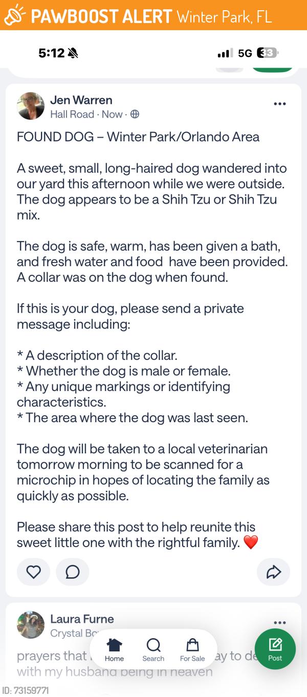 Found/Stray Unknown Dog last seen Aloma/ Lake burkett lane, Winter Park, FL 32792