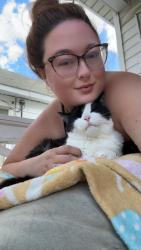 Reunited Male Cat last seen North Allen, Albany, NY 12203
