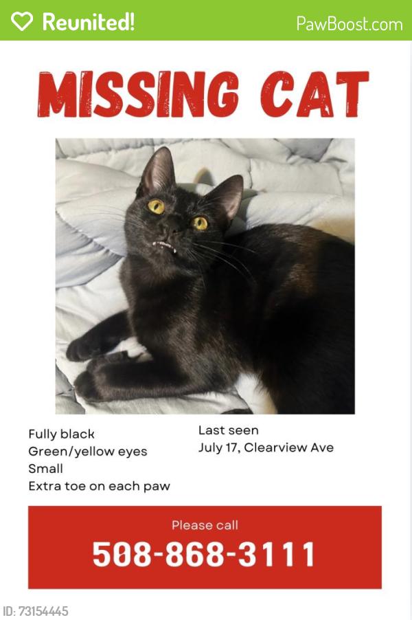 Reunited Female Cat last seen Dodge park woods, Worcester, MA 01605