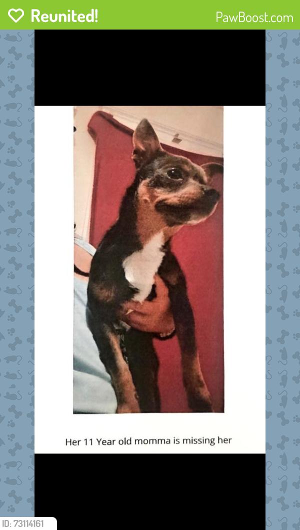 Reunited Female Dog last seen Kearney Blvd and S. Plumas st., Fresno, CA 93706