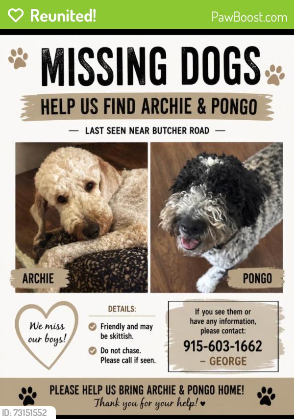 Reunited Male Dog last seen Kings court & Butcher Rd Waxahachie Tx, Waxahachie, TX 75165