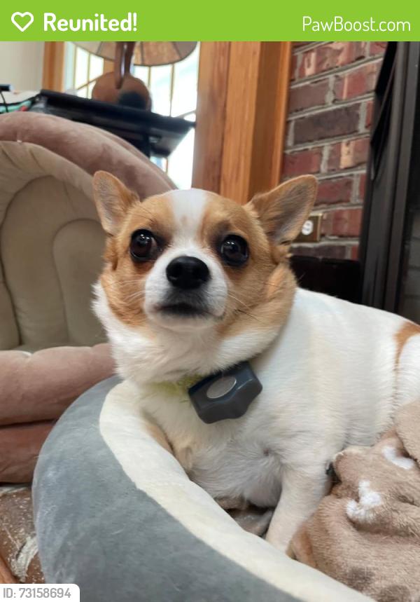 Reunited Male Dog last seen Currituck by the sound, Currituck, NC 27929