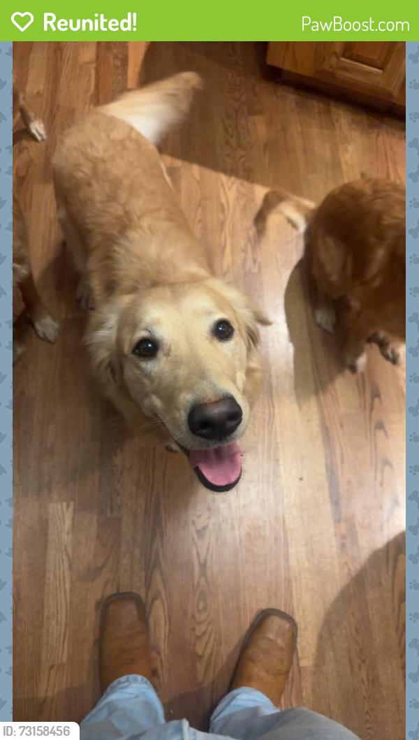 Reunited Female Dog last seen Shawnee, KS, USA, Shawnee, KS 66203