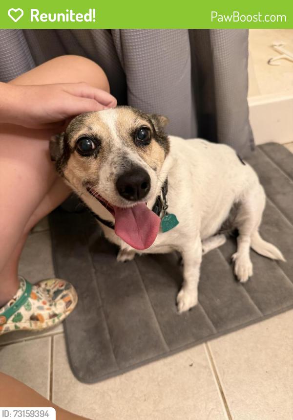 Reunited Female Dog last seen Green Acre Rd NE, Rome, GA 30165