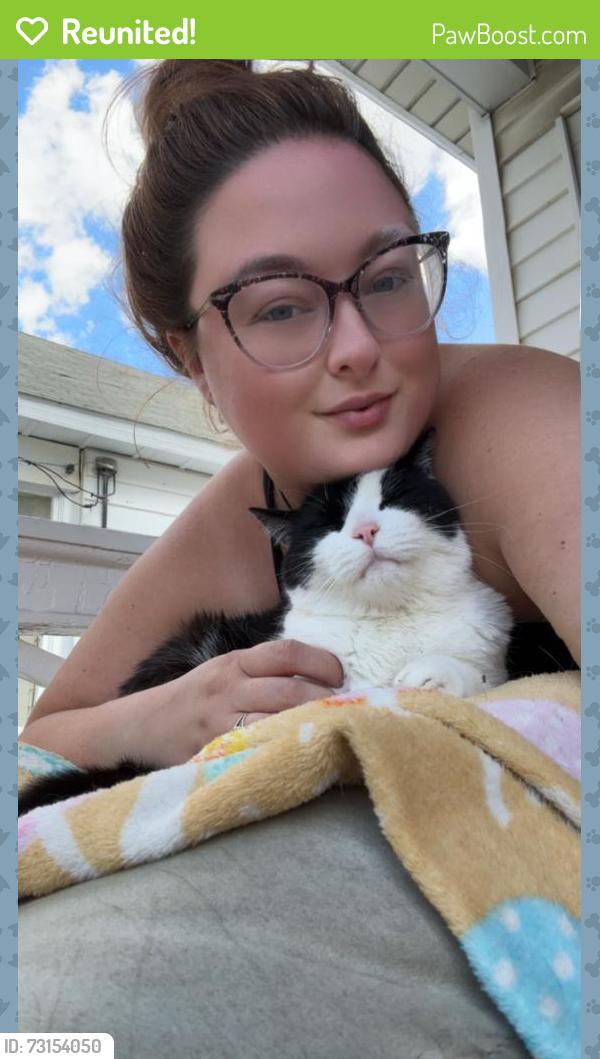 Reunited Male Cat last seen North Allen, Albany, NY 12203