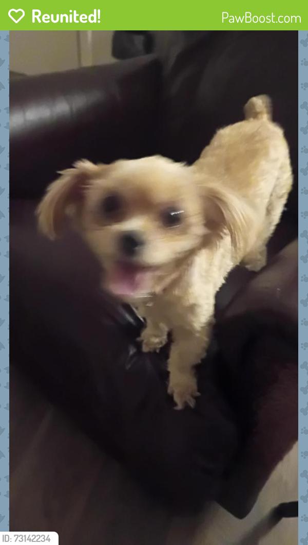 Reunited Male Dog last seen Lindbergh, Tyler, TX 75703