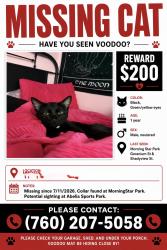 Lost Male Cat last seen Morning Star Park, French Valley, CA 92596