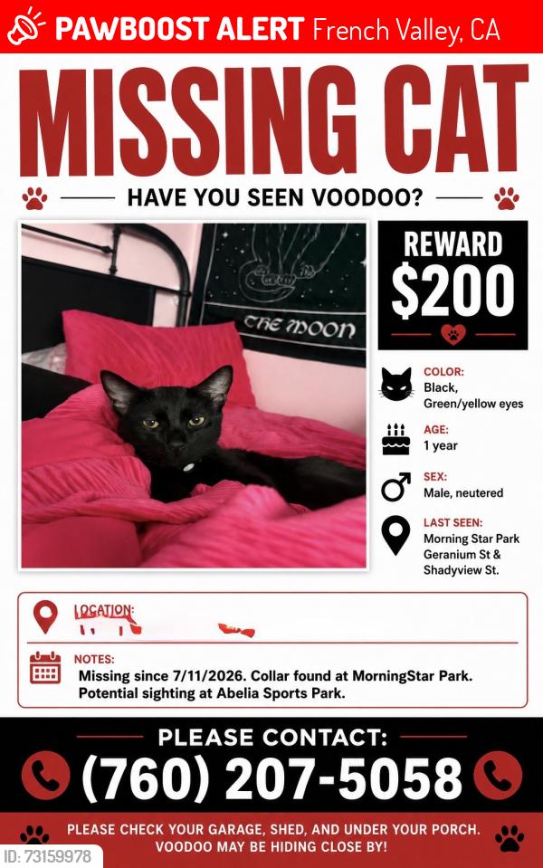 Lost Male Cat last seen Morning Star Park, French Valley, CA 92596