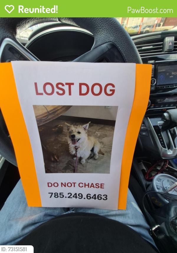 Reunited Female Dog last seen Auburn Hills apmt Complex on Westport, Topeka, KS 66614