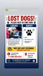 Reunited Male Dog last seen Stuart Dr, Calexico, CA 92231, USA, Calexico, CA 92231
