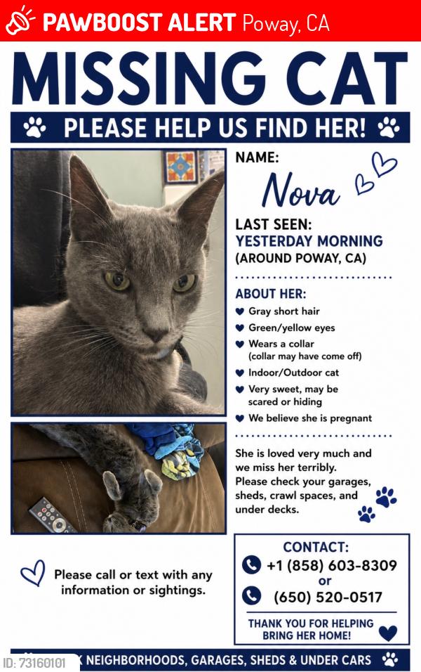 Lost Female Cat last seen Poway, Poway, CA 92064
