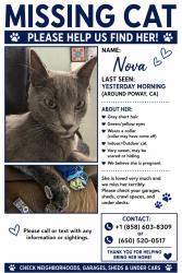 Lost Female Cat last seen Poway, Poway, CA 92064