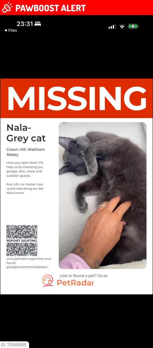 Lost Female Cat last seen Home, Essex, England EN9 3FH