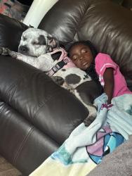 Reunited Female Dog last seen Greensboro, NC, Greensboro, NC 27401