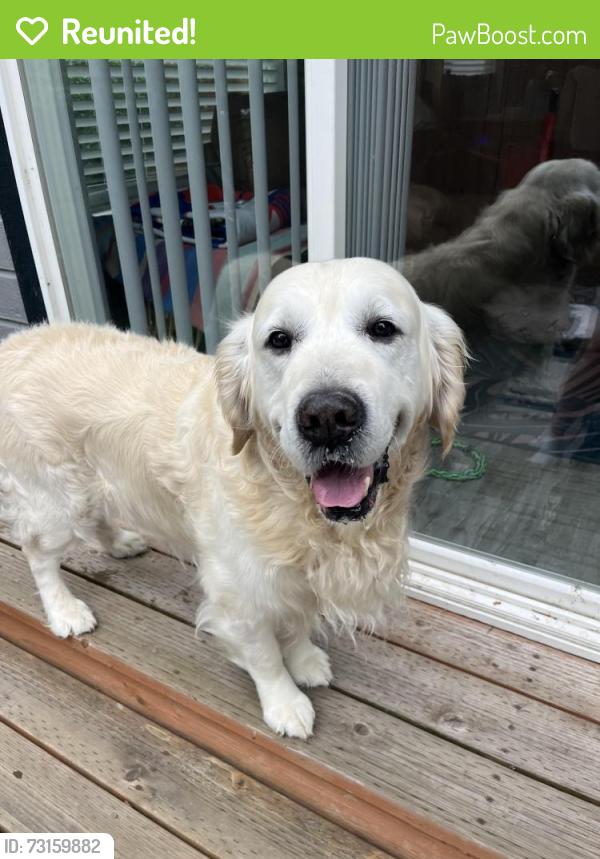 Reunited Male Dog last seen Fairview & Allumbaugh, Boise, ID 83704