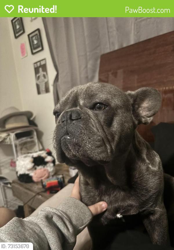 Reunited Male Dog last seen Peach and Gettysburg, Clovis, CA 93612