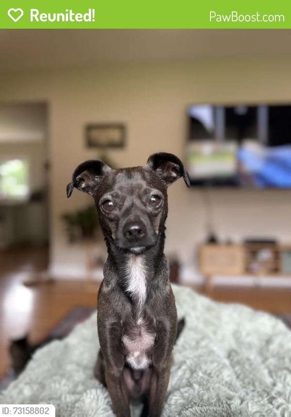 Reunited Male Dog last seen Near Lone Oak Ln, Eagan, MN 55121, USA, Eagan, MN 55121