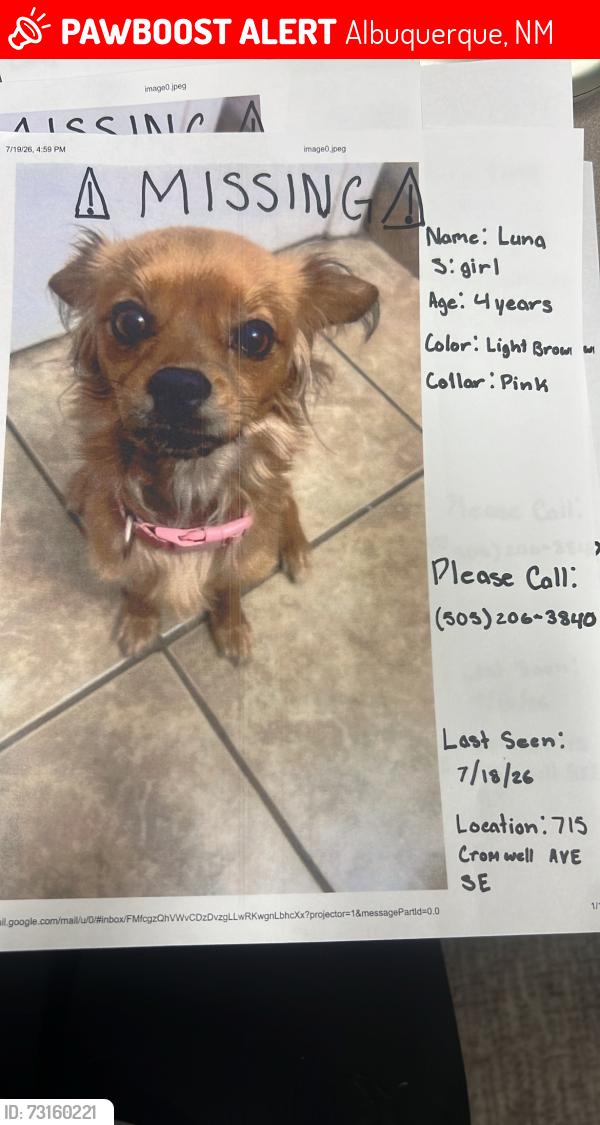 Lost Female Dog last seen Near Cromwell ave se, Albuquerque, NM 87102