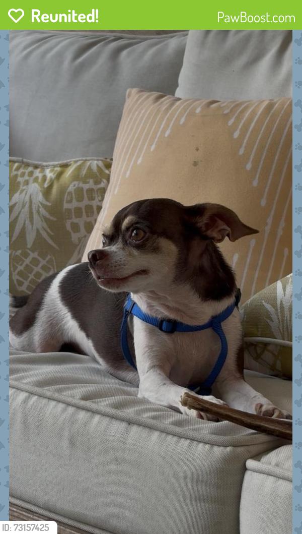 Reunited Male Dog last seen Tindarey bluff trail and victoria harbor dr, Katy, TX 77449