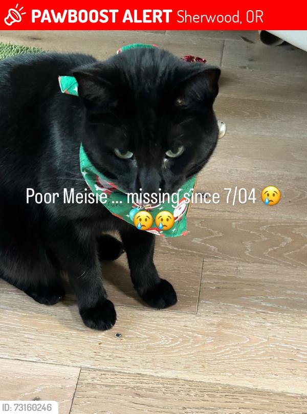 Lost Female Cat last seen Providence clinic , Edy Rd, Sherwood, OR 97140