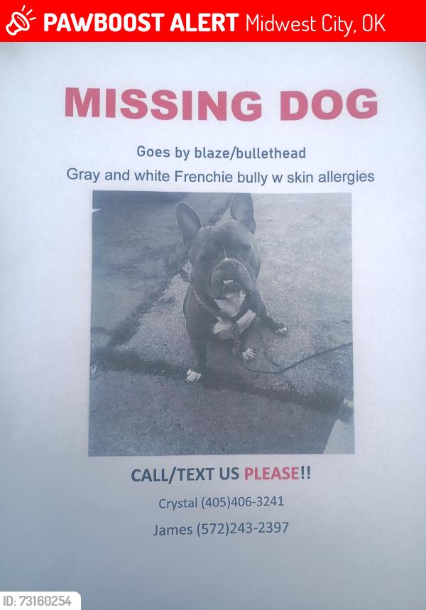 Lost Male Dog last seen Air depot and Midwest Blvd SE 29th and SE 15th, Midwest City, OK 73110