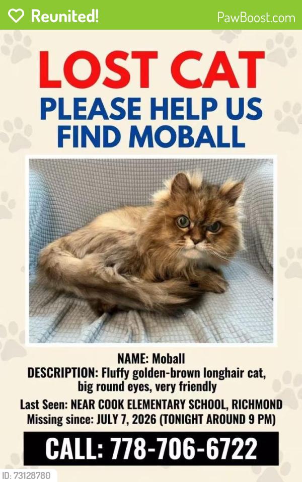 Reunited Male Cat last seen cook rd, Richmond, BC 