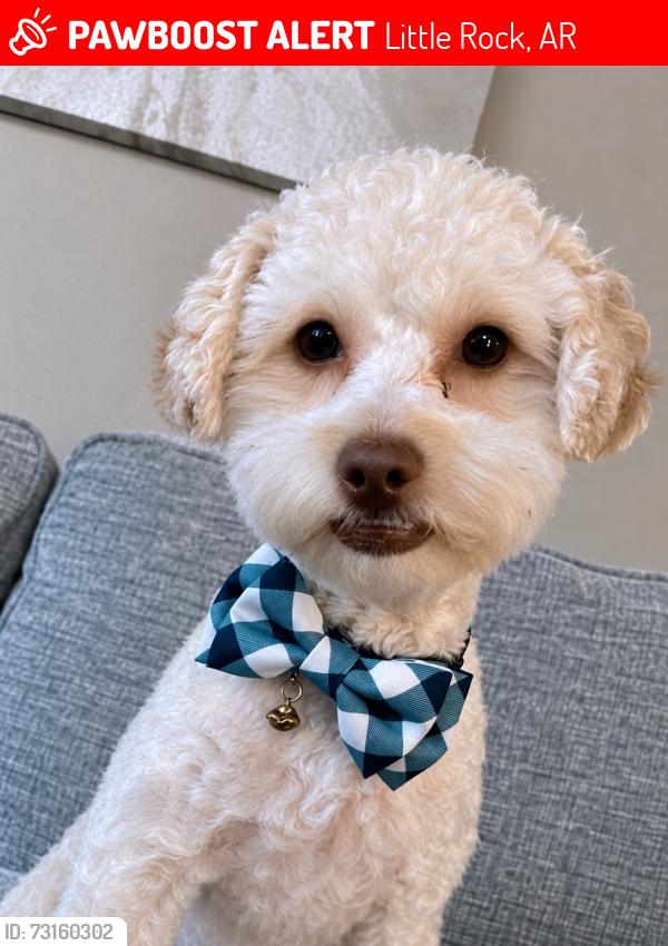 Lost Male Dog last seen Oxford valley dr, Little Rock, AR 72103