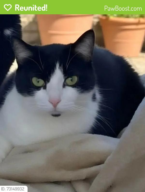 Reunited Male Cat last seen Rt 3A. Near the Nailery, Kingston, MA 02364