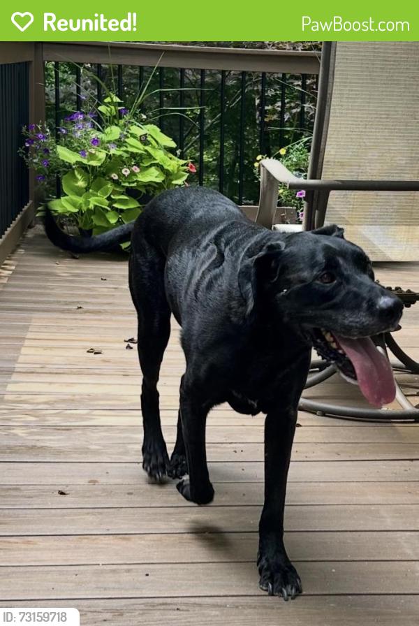 Reunited Male Dog last seen Crichton Court/Wild Fern Drive Oak Ridge, NC, Oak Ridge, NC 27310