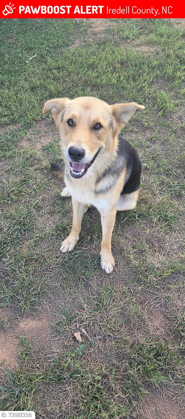 Lost Male Dog last seen Cartwright, Iredell County, NC 28634