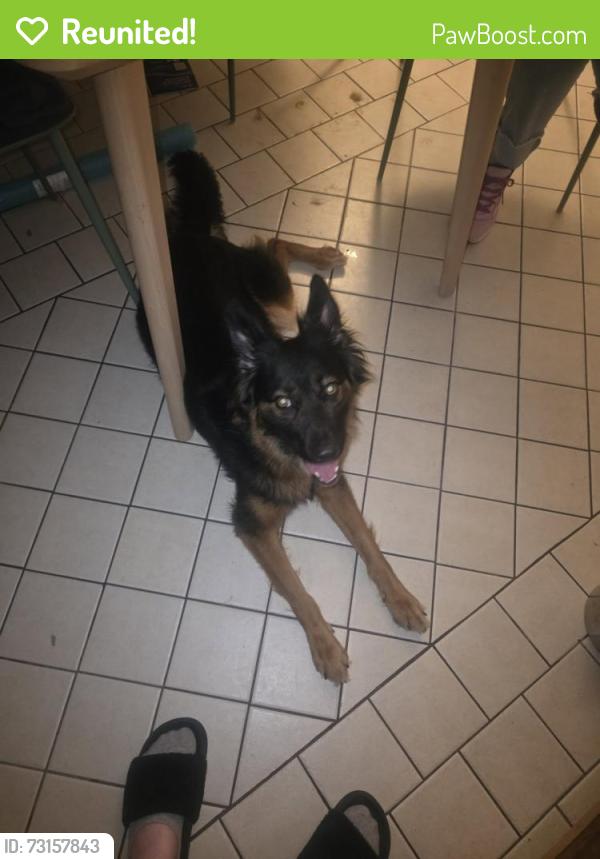 Reunited Female Dog last seen Dollar General at Dewey & Division St Sapulpa, OK, Sapulpa, OK 74066