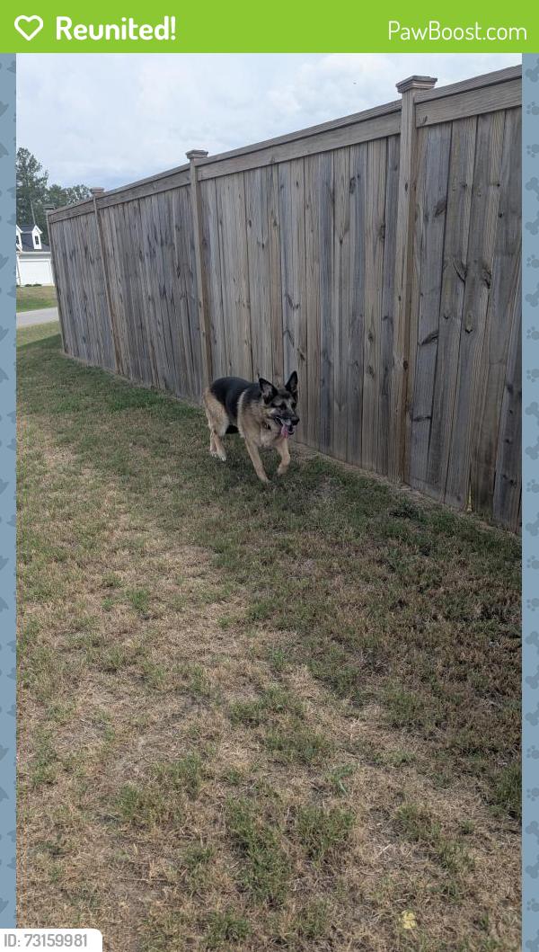 Reunited Unknown Dog last seen Duncan's Creek neighborhood, Lillington, NC 27546