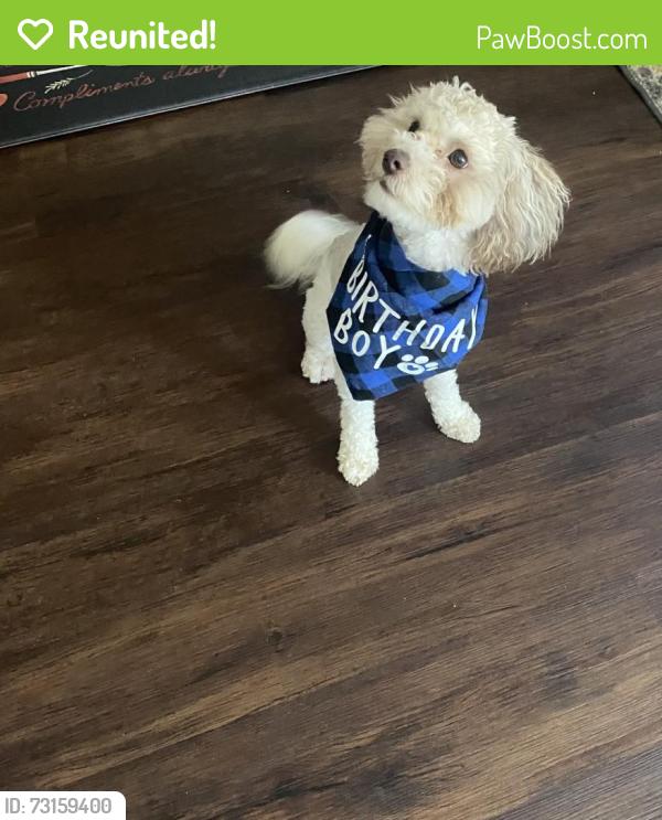 Reunited Male Dog last seen Near Village Lake Dr, Cypress, TX 77433, USA, Cypress, TX 77433