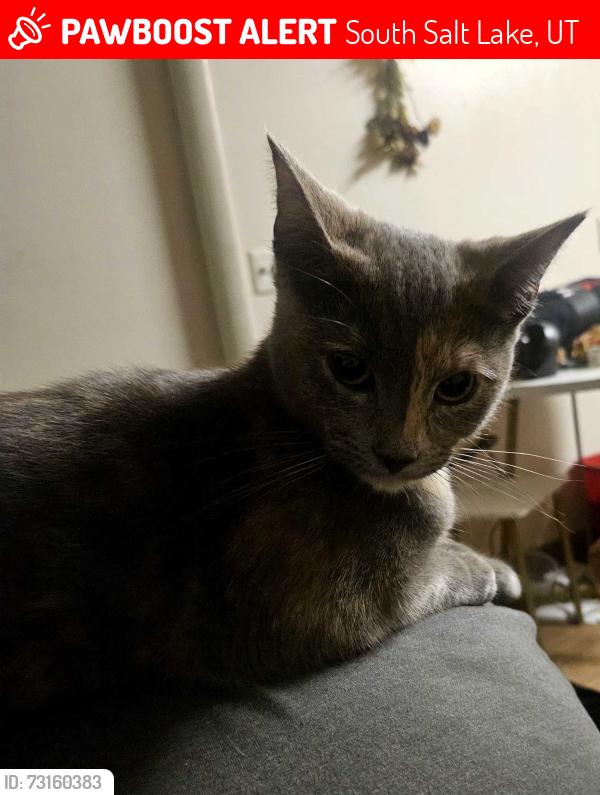 Lost Female Cat last seen North side of 200 east & 2100 south right across from the big apmt building that's located on the left side of the road, in the neighborhood directly across from it, South Salt Lake, UT 84115