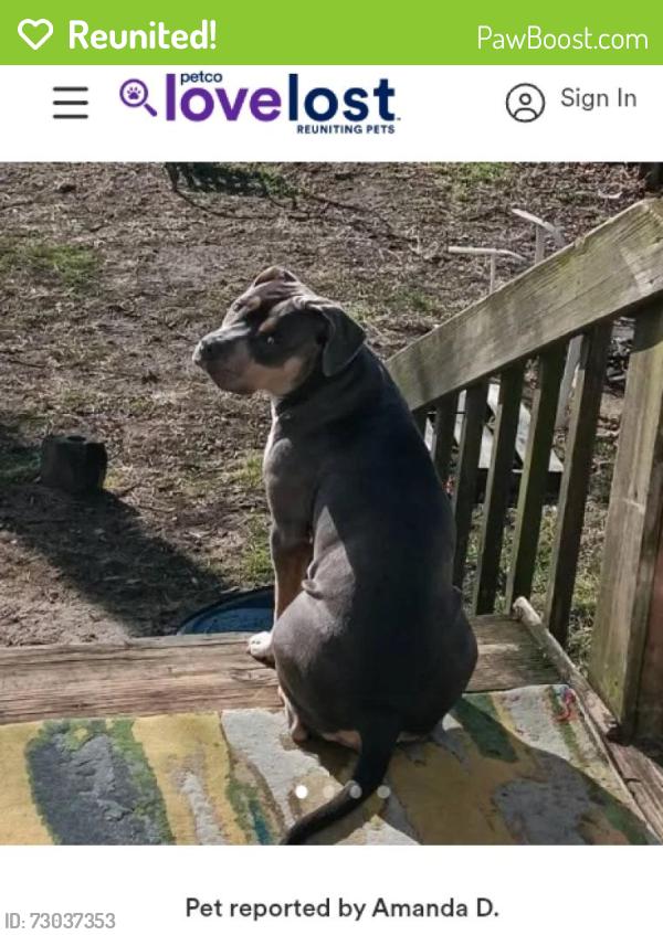 Reunited Female Dog last seen by Toledo zoo, Toledo, OH 43604