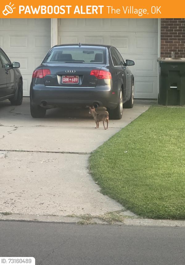 Found/Stray Unknown Dog last seen Carlton & Village Dr, The Village, OK 73120