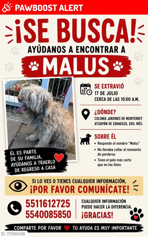 Lost Male Dog last seen veterinaria doctor pet, Ciudad López Mateos, Méx. 52926
