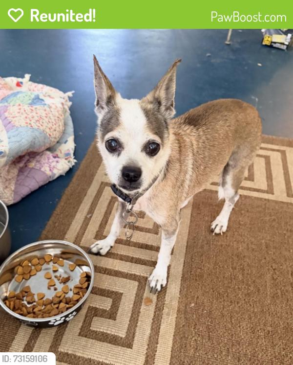 Reunited Male Dog last seen County Road 51 Cedar Bluff Alabama, Cherokee County, AL 35959