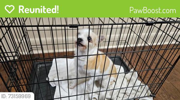 Reunited Female Dog last seen Winterberry Ct, Fort Worth, TX 76244