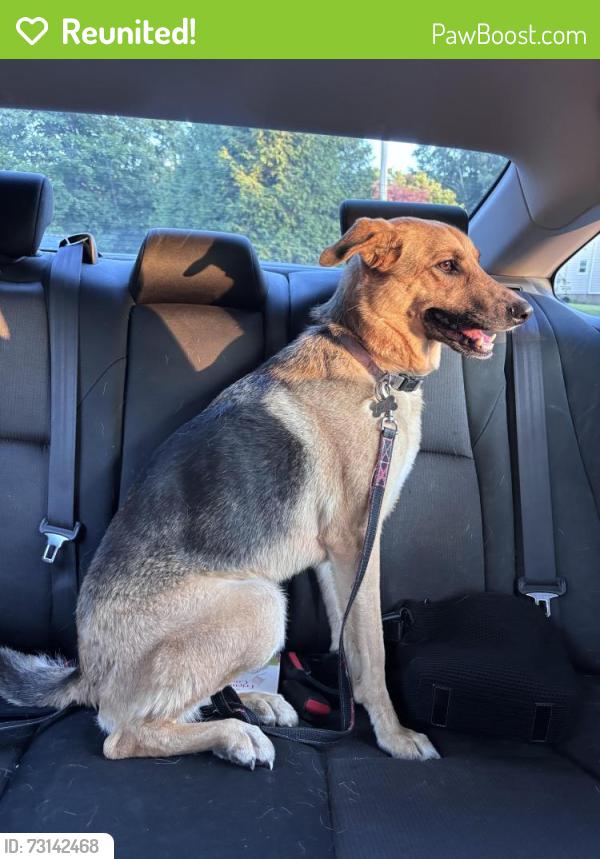 Reunited Female Dog last seen Jeffer CT, Wyckoff, NJ 07481