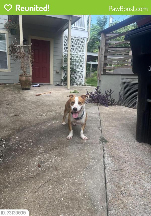 Reunited Male Dog last seen McKinney St and Lockwood St, Houston, TX 77023