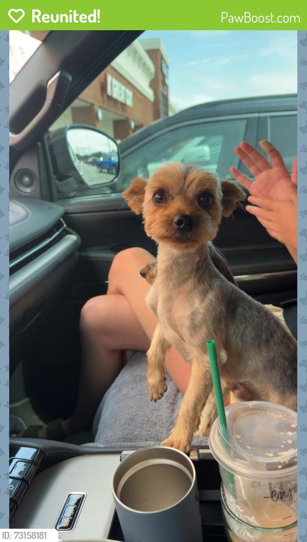 Reunited Male Dog last seen County Line, 122nd & Hefner Rd, Oklahoma City, OK 73162