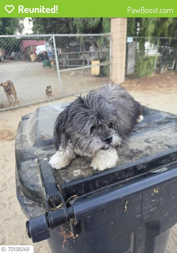 Reunited Male Dog last seen Hillside pedley, Norco, CA 92860