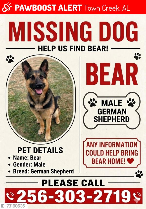 Lost Male Dog last seen Near Donald Baptist Church, Town Creek, AL 35672