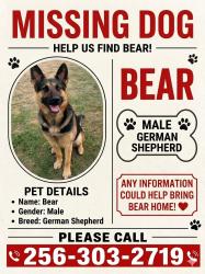 Lost Male Dog last seen Near Donald Baptist Church, Town Creek, AL 35672