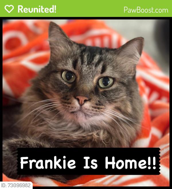 Reunited Female Cat last seen Cresswind @ The Ponds, Summerville, SC 29483