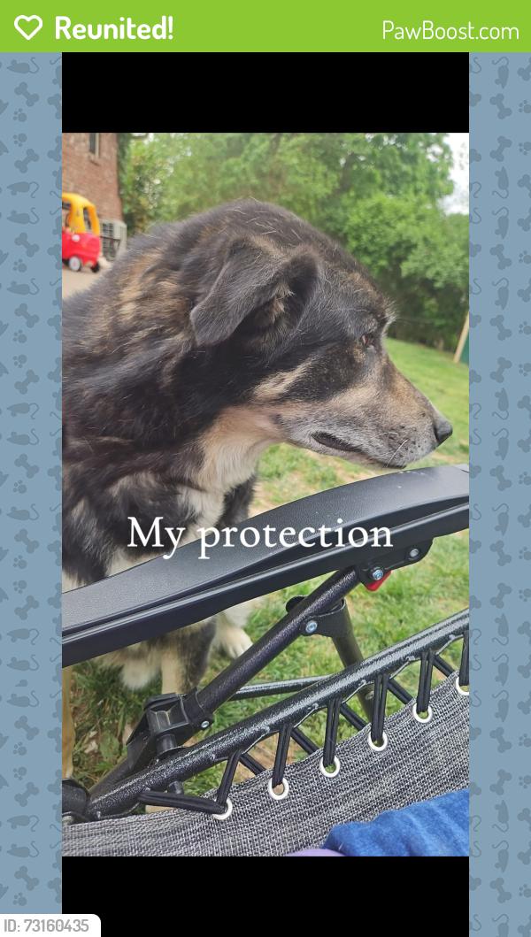 Reunited Male Dog last seen Wheeler elementary, Louisville, KY 40291
