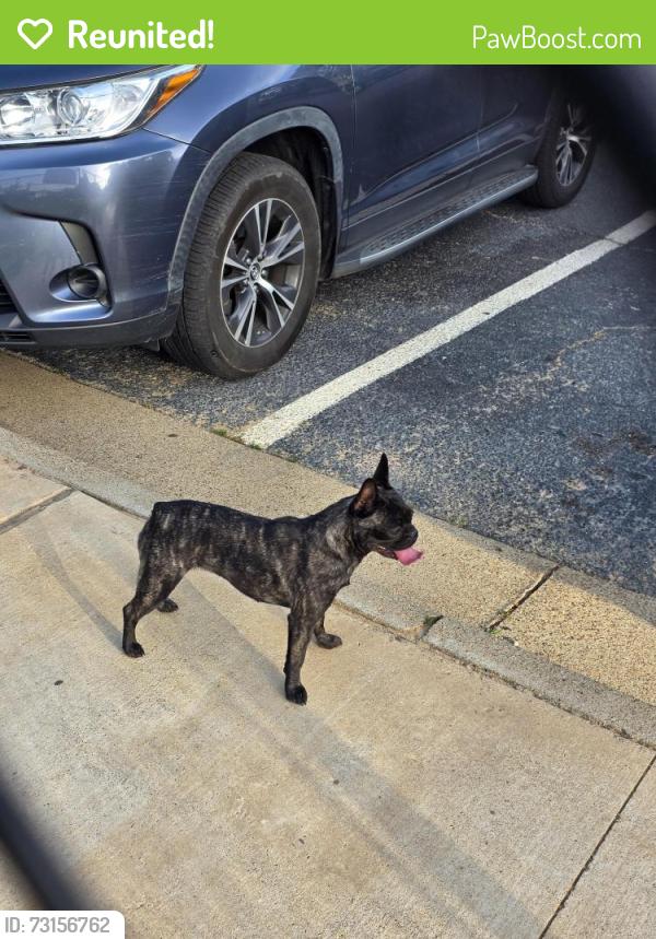 Reunited Unknown Dog last seen Pollard park, Tyler, TX 75701