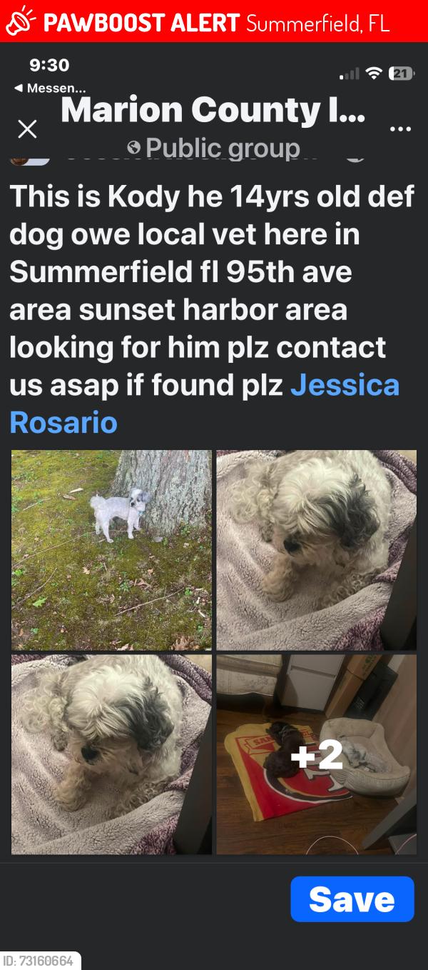 Lost Male Dog last seen Sunset harbor, Summerfield, FL 34491